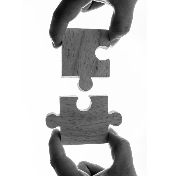 Integration Partners